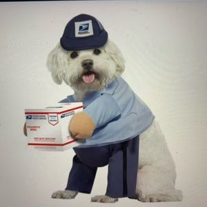 Stop by and purchase for  fast shipping